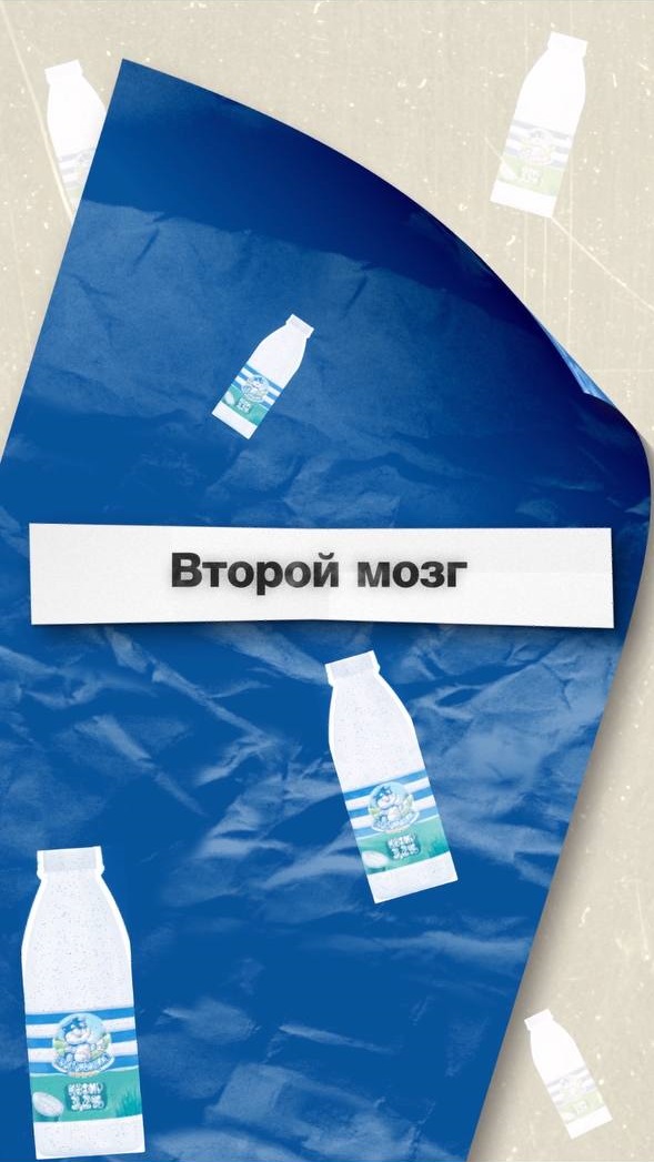заставка