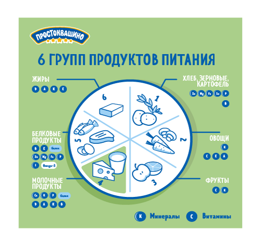 6 групп продуктов питания (картинка)